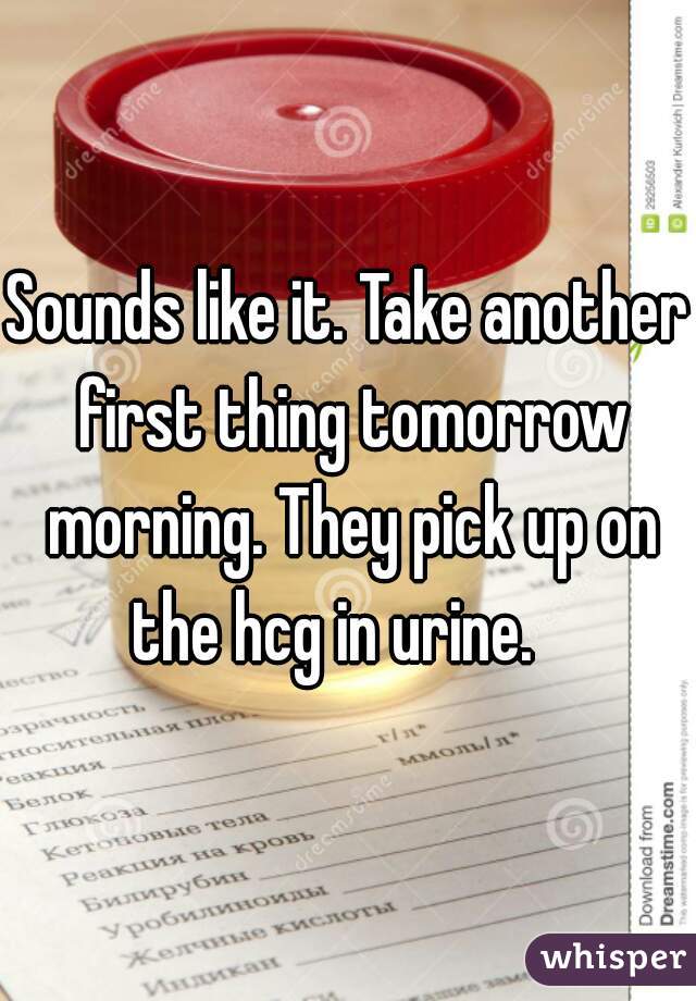 Sounds like it. Take another first thing tomorrow morning. They pick up on the hcg in urine.   