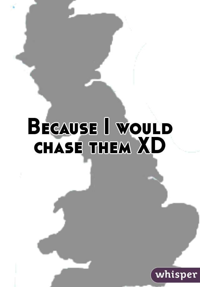 Because I would chase them XD 