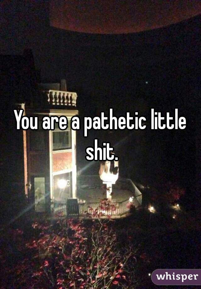 You are a pathetic little shit.