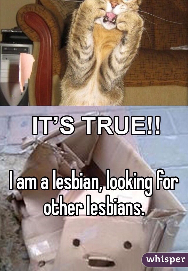 I am a lesbian, looking for other lesbians. 