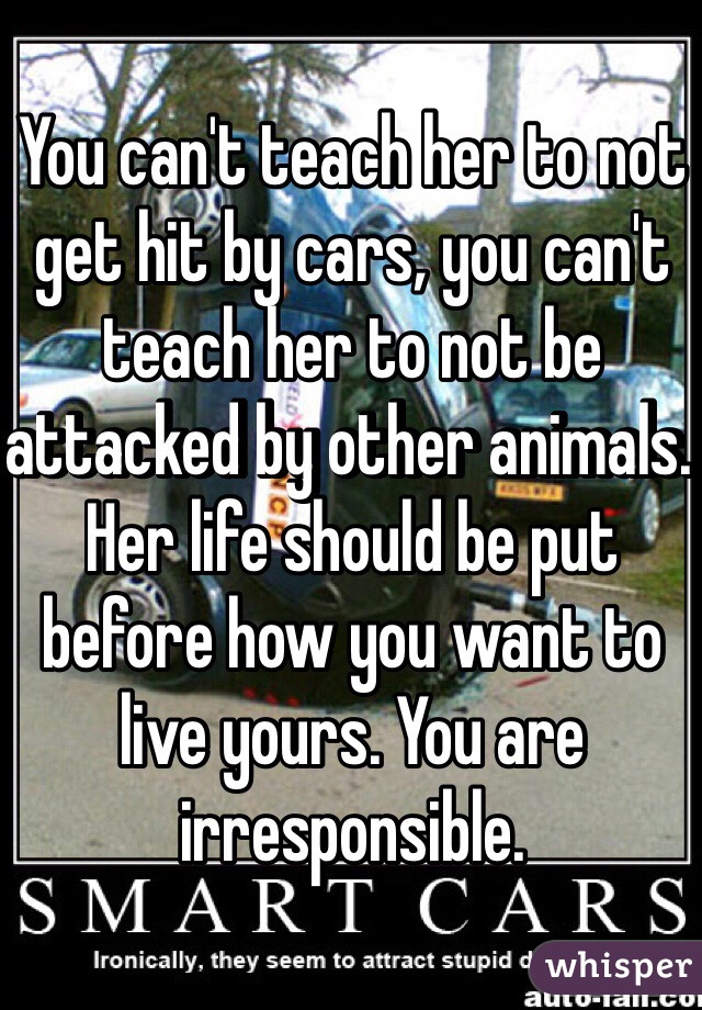 You can't teach her to not get hit by cars, you can't teach her to not be attacked by other animals. Her life should be put before how you want to live yours. You are irresponsible. 