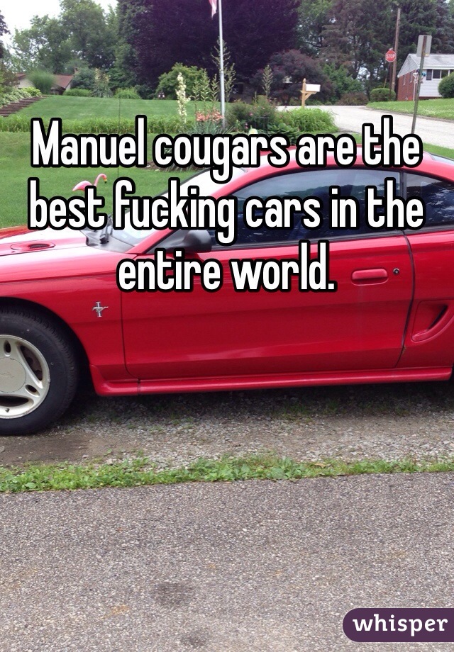 Manuel cougars are the best fucking cars in the entire world. 
