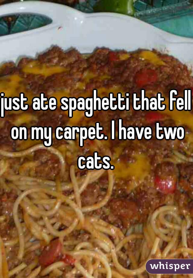 just ate spaghetti that fell on my carpet. I have two cats. 