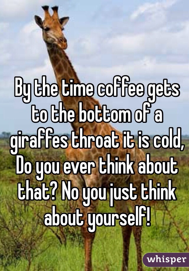 By the time coffee gets to the bottom of a giraffes throat it is cold, Do you ever think about that? No you just think about yourself! 