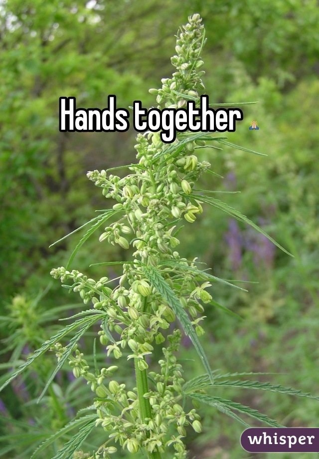 Hands together 🙏