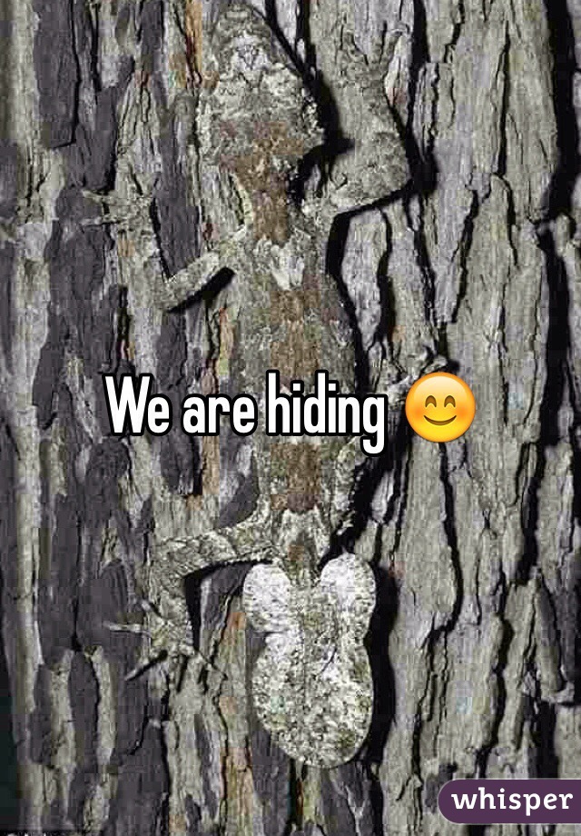 We are hiding 😊