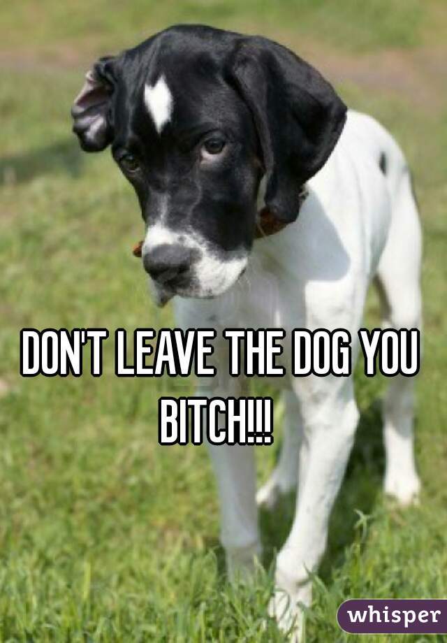 DON'T LEAVE THE DOG YOU BITCH!!!  