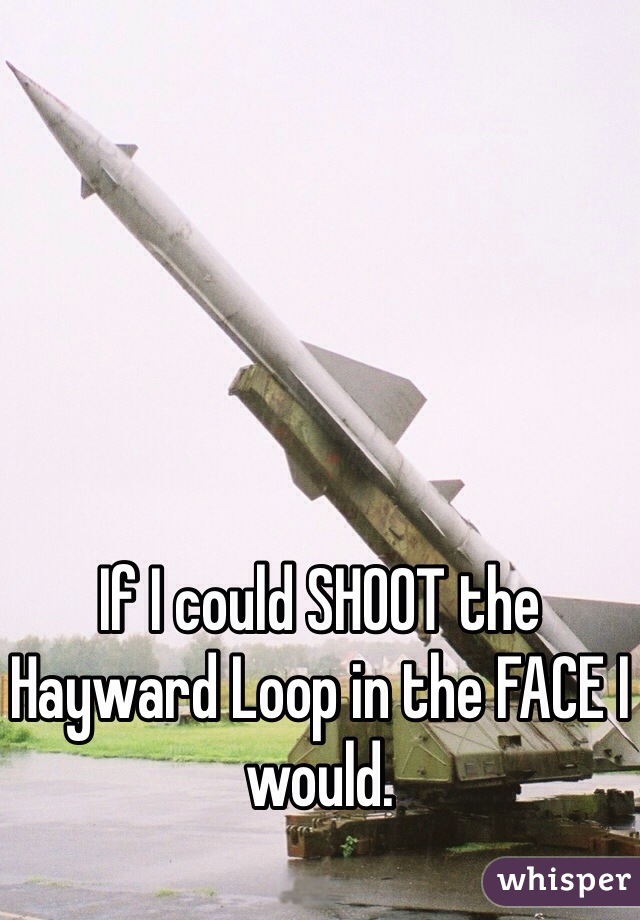 If I could SHOOT the Hayward Loop in the FACE I would.  