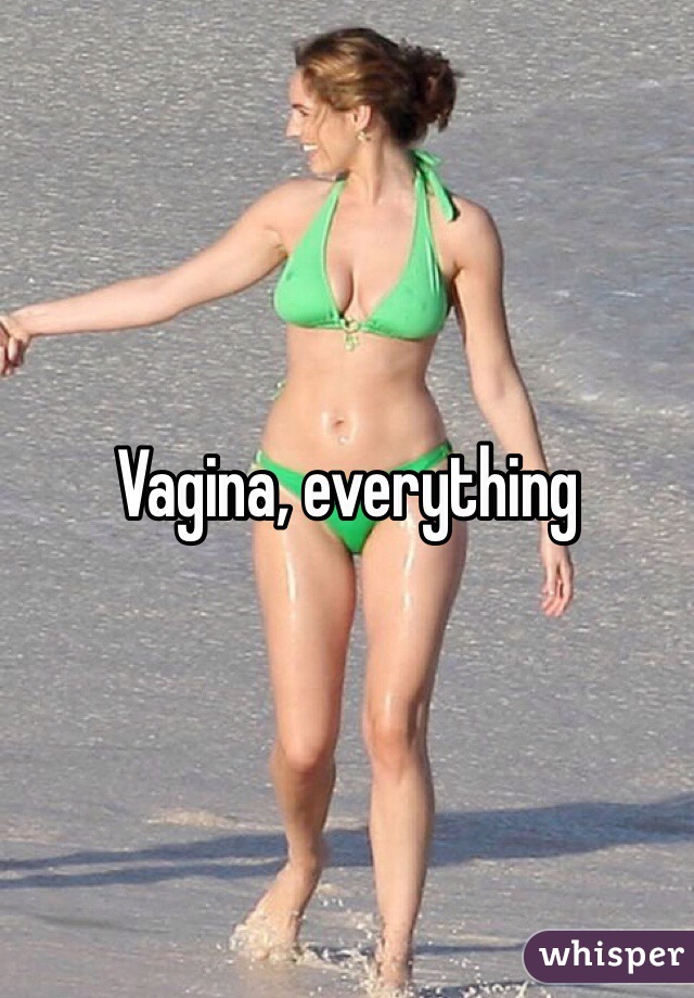 Vagina, everything