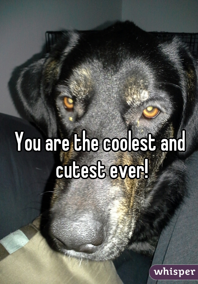You are the coolest and cutest ever!