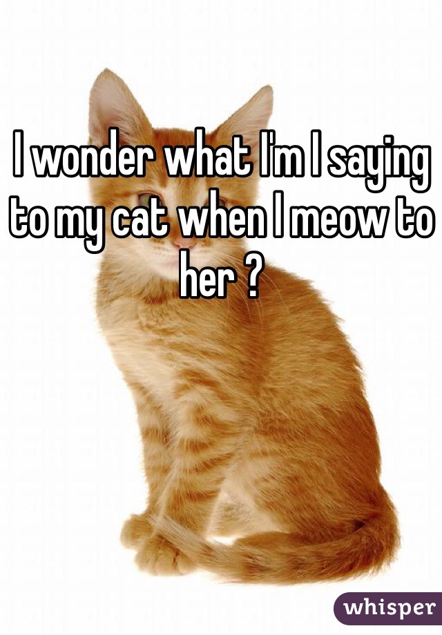 I wonder what I'm I saying to my cat when I meow to her ?