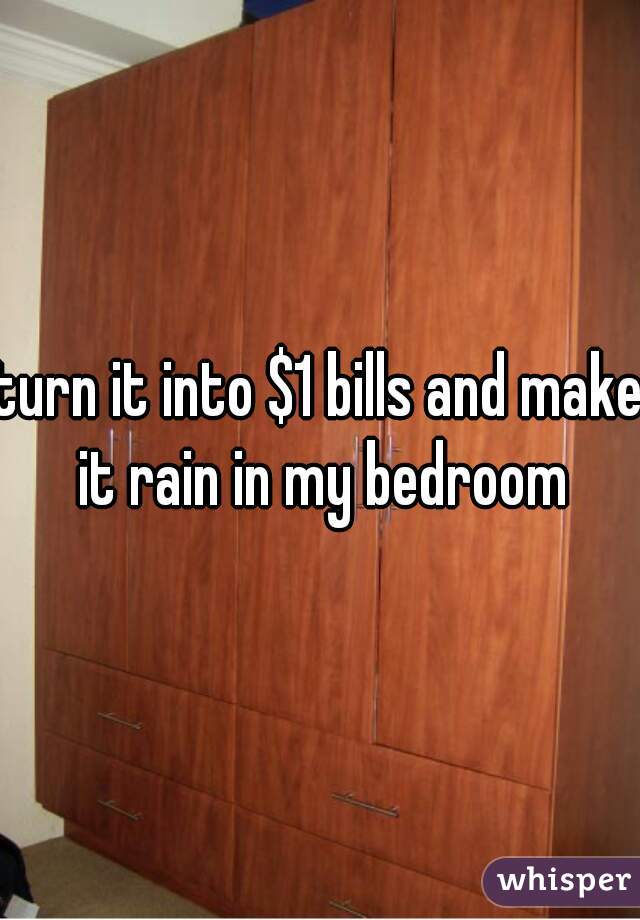 turn it into $1 bills and make it rain in my bedroom