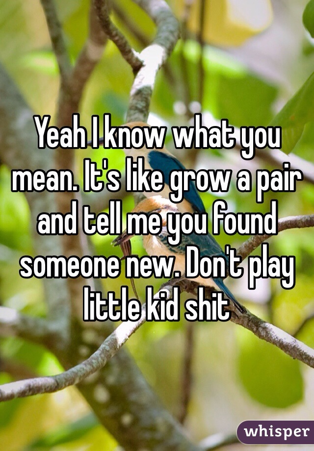 Yeah I know what you mean. It's like grow a pair and tell me you found someone new. Don't play little kid shit 