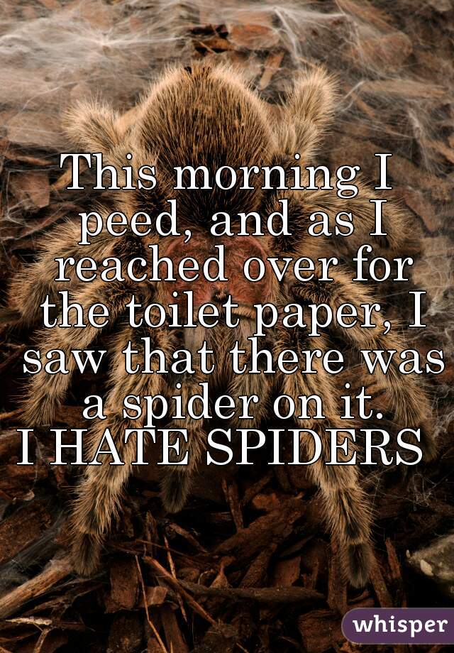 This morning I peed, and as I reached over for the toilet paper, I saw that there was a spider on it.
I HATE SPIDERS 
