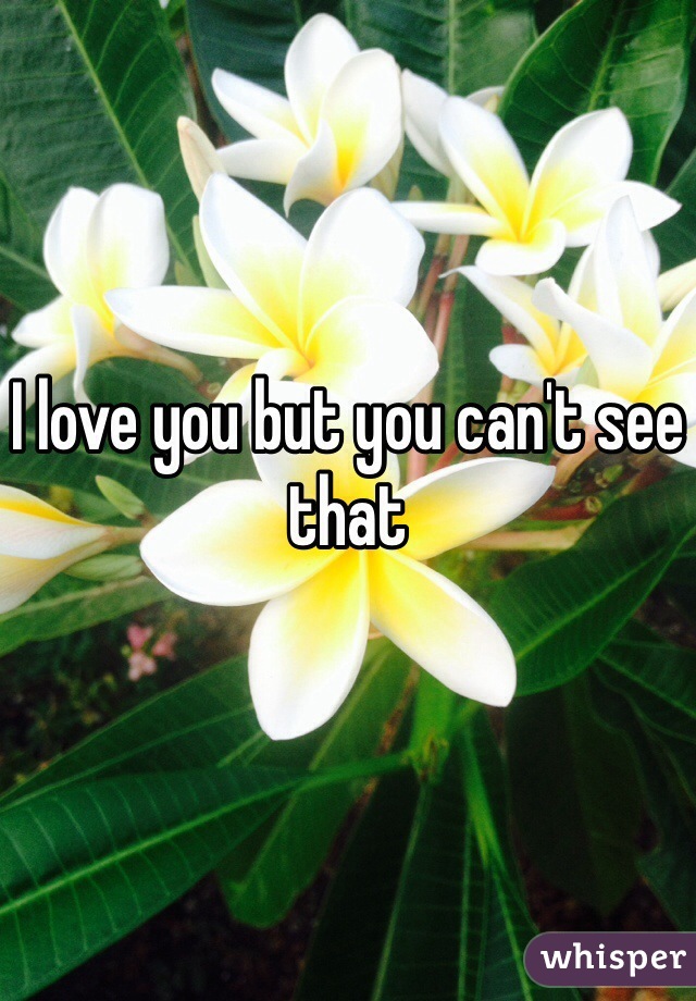 I love you but you can't see that