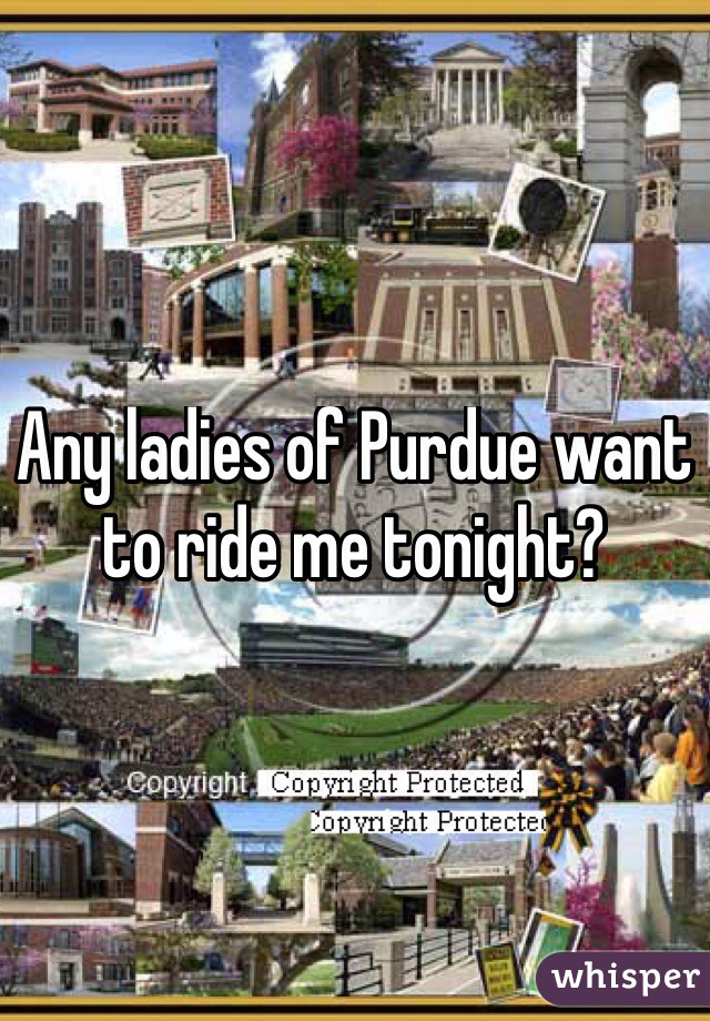 Any ladies of Purdue want to ride me tonight? 
