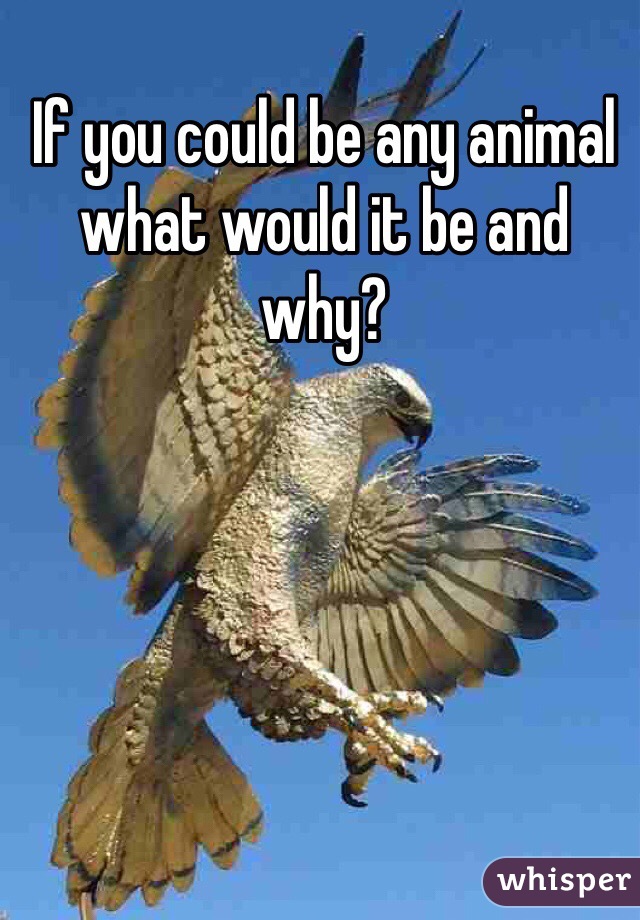 If you could be any animal what would it be and why? 