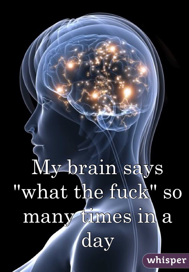 My brain says "what the fuck" so many times in a day