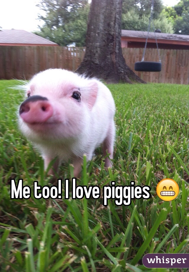 Me too! I love piggies 😁