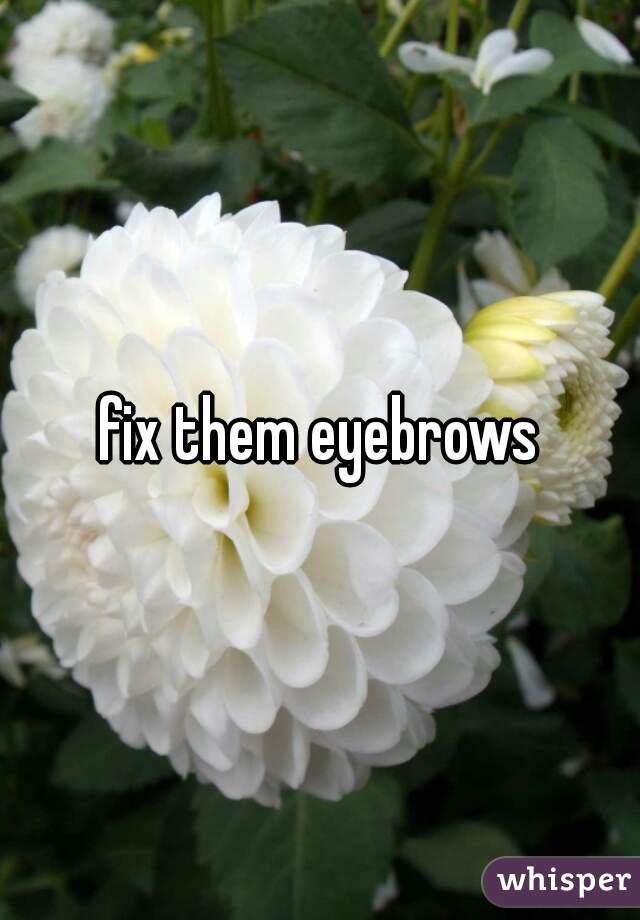 fix them eyebrows