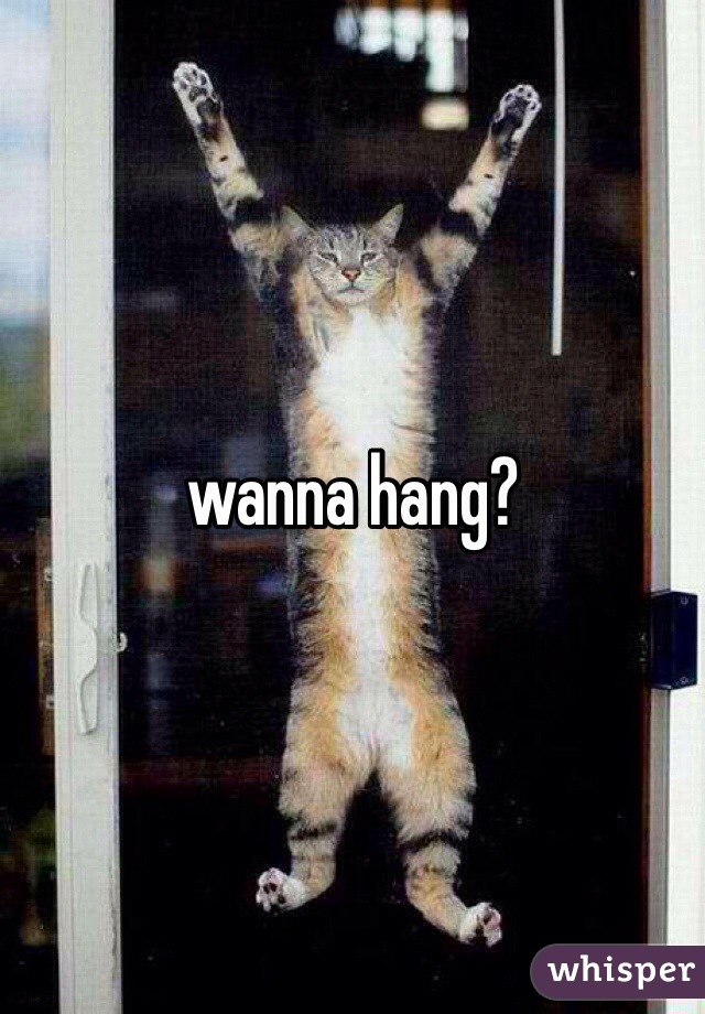 wanna hang?