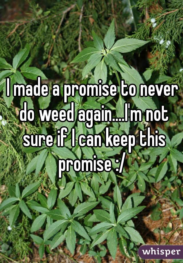 I made a promise to never do weed again....I'm not sure if I can keep this promise :/ 