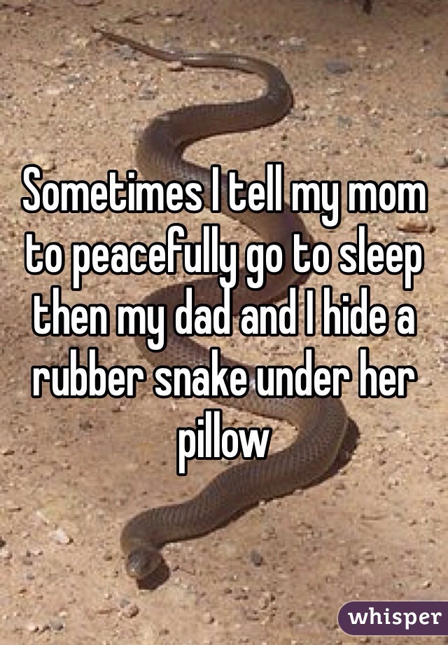 Sometimes I tell my mom to peacefully go to sleep then my dad and I hide a rubber snake under her pillow