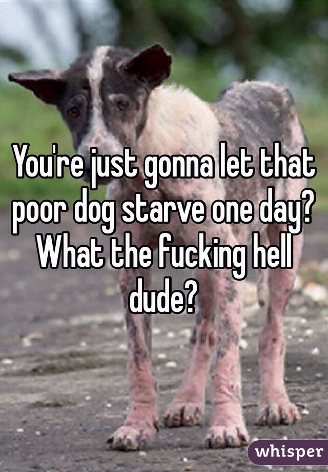 You're just gonna let that poor dog starve one day? What the fucking hell dude?