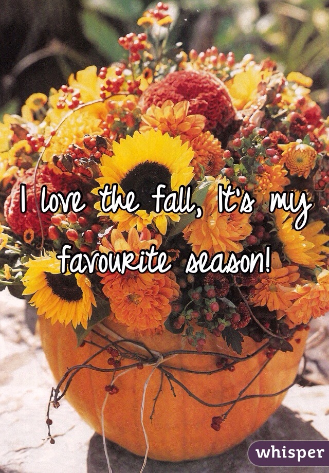 I love the fall, It's my favourite season!
