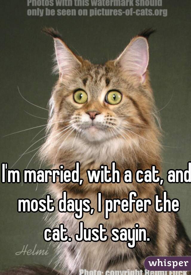 I'm married, with a cat, and most days, I prefer the cat. Just sayin. 