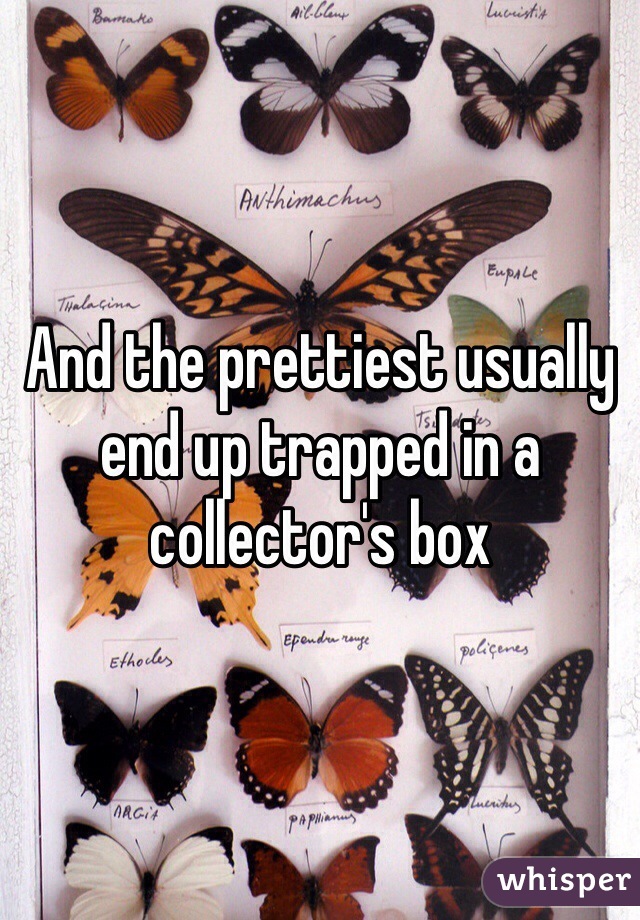 And the prettiest usually end up trapped in a collector's box 