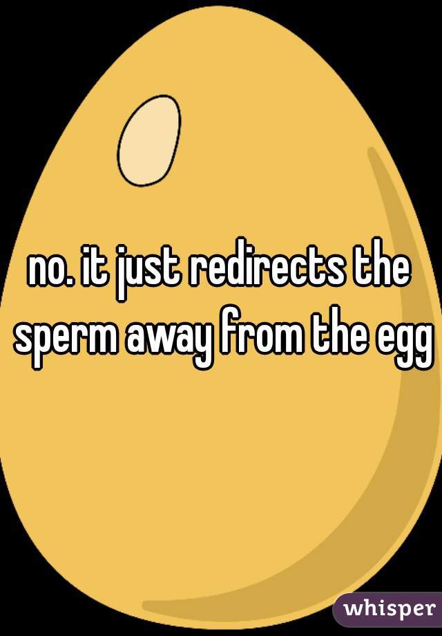 no. it just redirects the sperm away from the egg