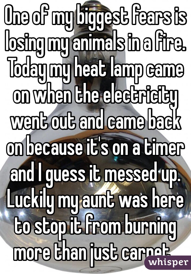 One of my biggest fears is losing my animals in a fire. Today my heat lamp came on when the electricity went out and came back on because it's on a timer and I guess it messed up. Luckily my aunt was here to stop it from burning more than just carpet . 