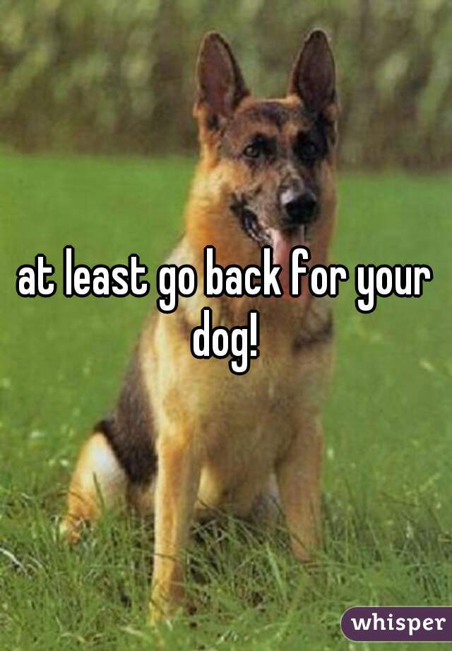at least go back for your dog! 