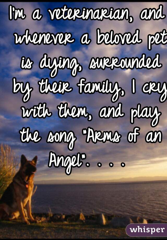 I'm a veterinarian, and whenever a beloved pet is dying, surrounded by their family, I cry with them, and play the song "Arms of an Angel". . . . 