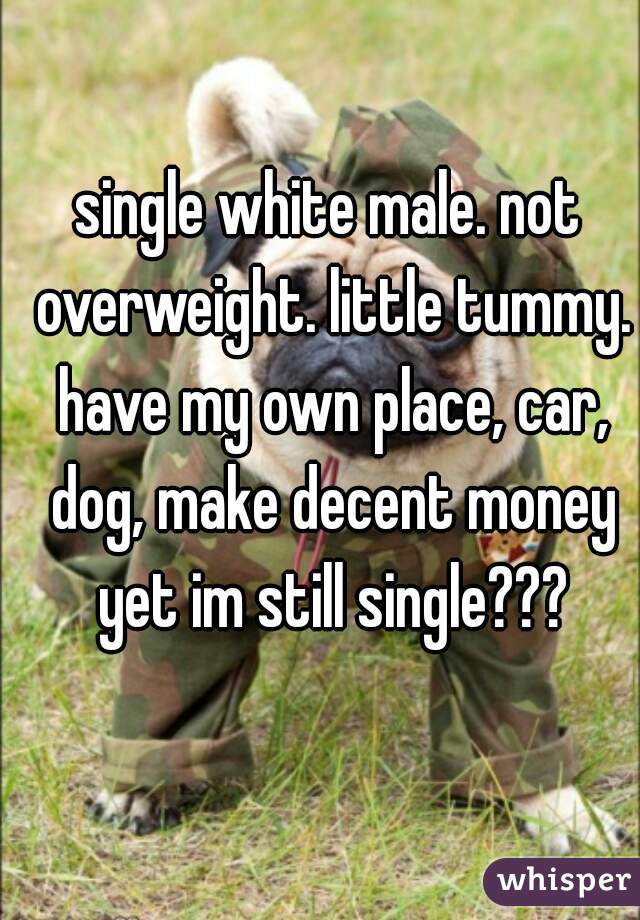 single white male. not overweight. little tummy. have my own place, car, dog, make decent money yet im still single???