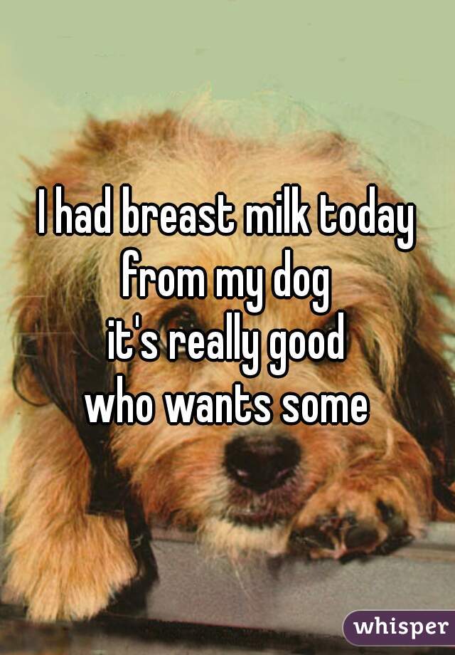 I had breast milk today
from my dog
it's really good
who wants some
