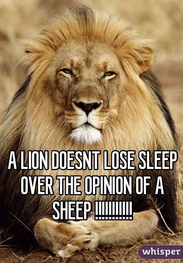 A LION DOESNT LOSE SLEEP OVER THE OPINION OF A SHEEP !!!!!!!!!!!