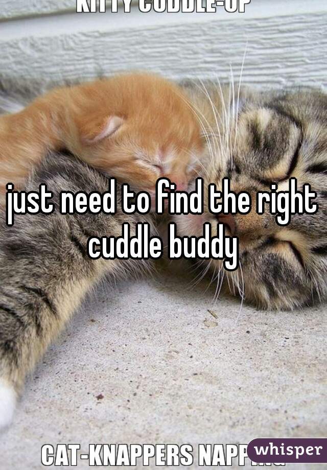 just need to find the right cuddle buddy 