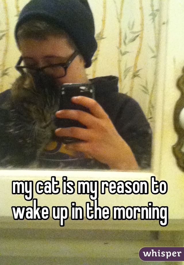 my cat is my reason to wake up in the morning
