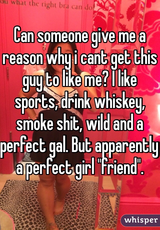 Can someone give me a reason why i cant get this guy to like me? I like sports, drink whiskey, smoke shit, wild and a perfect gal. But apparently a perfect girl "friend".