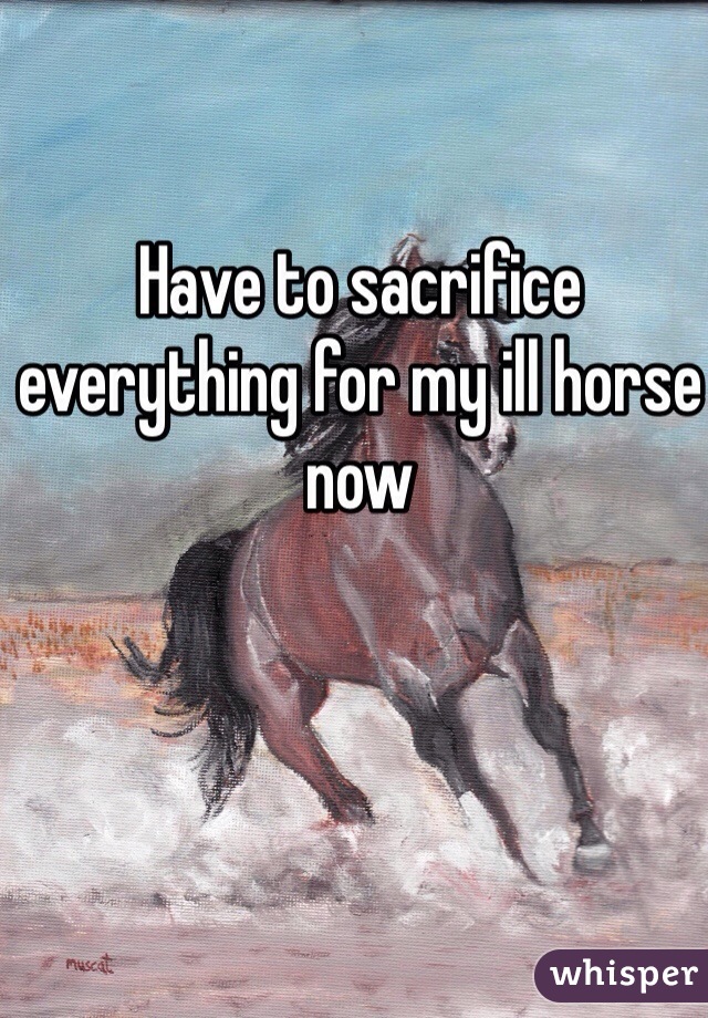 Have to sacrifice everything for my ill horse now 