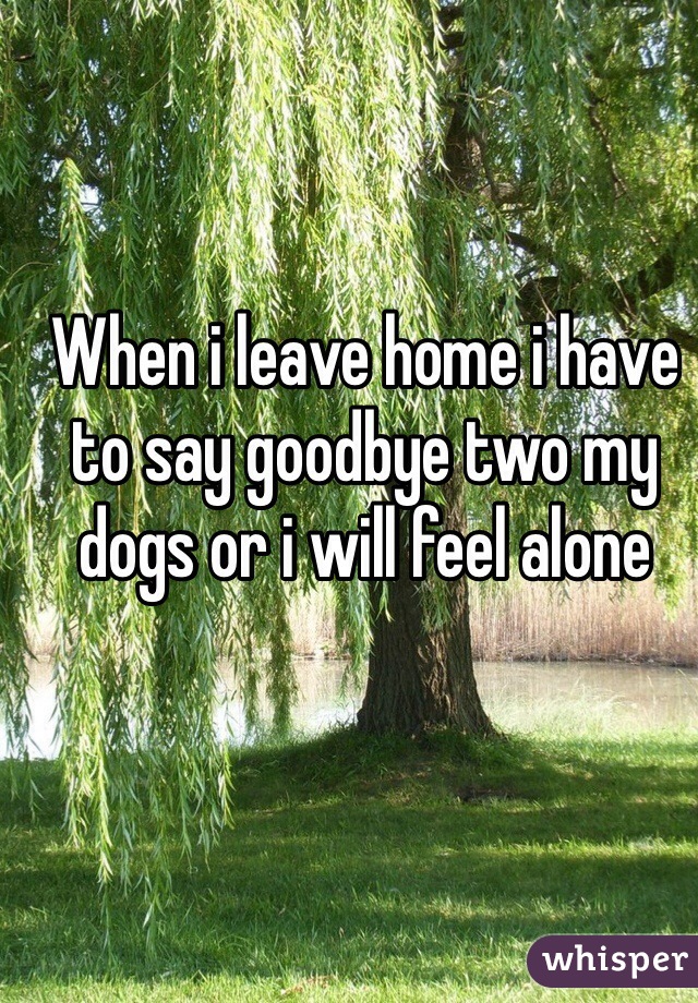 When i leave home i have to say goodbye two my dogs or i will feel alone