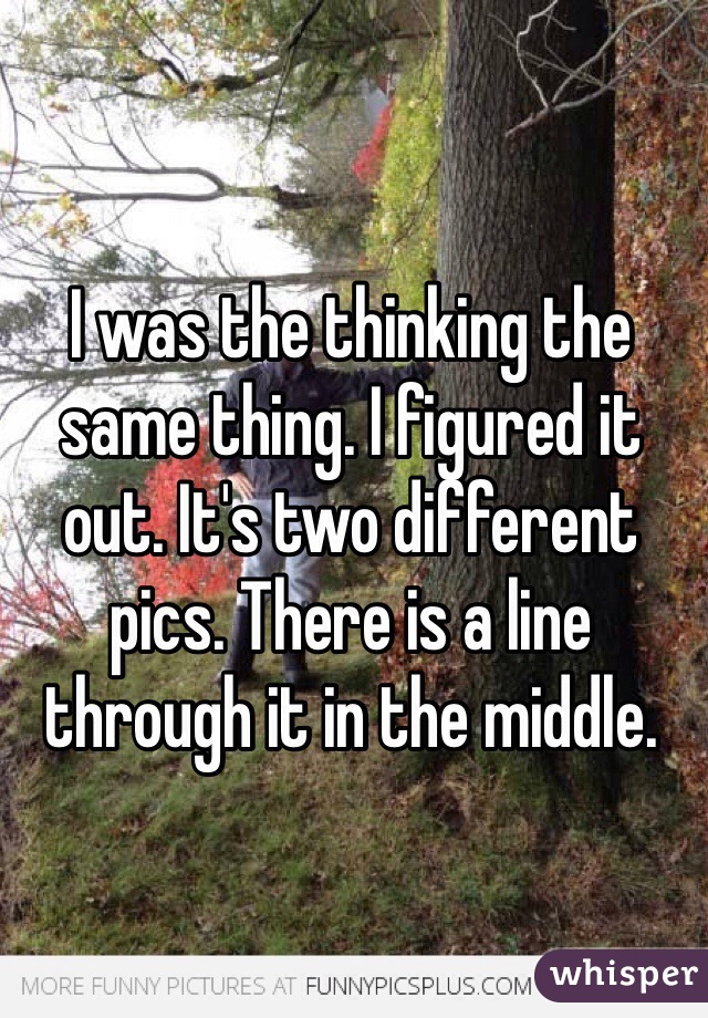 I was the thinking the same thing. I figured it out. It's two different pics. There is a line through it in the middle. 