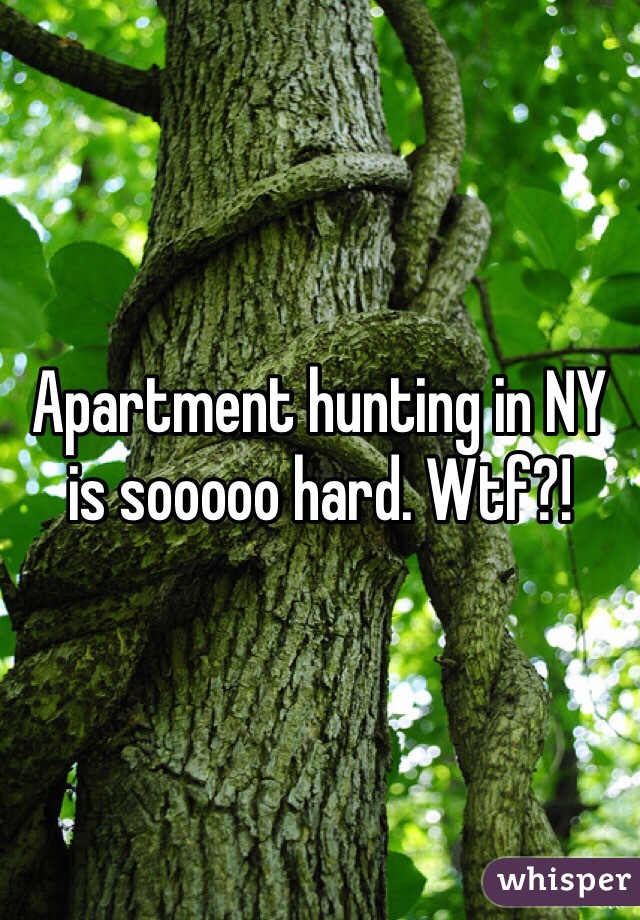 Apartment hunting in NY is sooooo hard. Wtf?! 