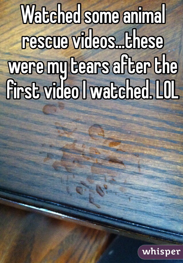Watched some animal rescue videos...these were my tears after the first video I watched. LOL
