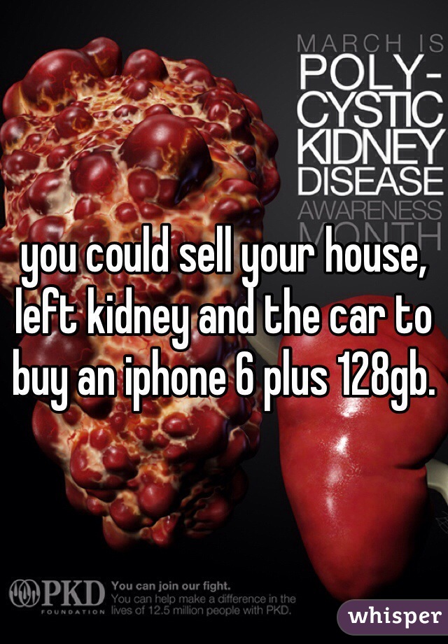 you could sell your house, left kidney and the car to buy an iphone 6 plus 128gb.