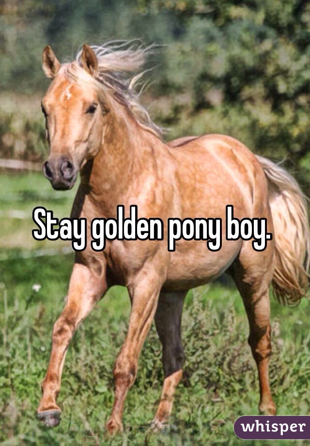 Stay golden pony boy.