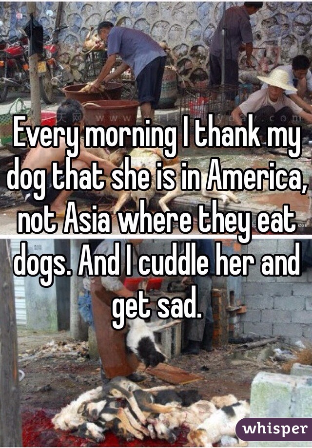 Every morning I thank my dog that she is in America, not Asia where they eat dogs. And I cuddle her and get sad. 