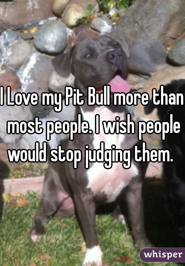 I Love my Pit Bull more than most people. I wish people would stop judging them.  